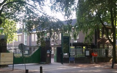 Reactie wijkraad op Gebiedsvisie Horne Kwartier