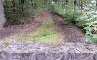 Schoonmaak beken en sloten in natuurgebied De IJzeren Man